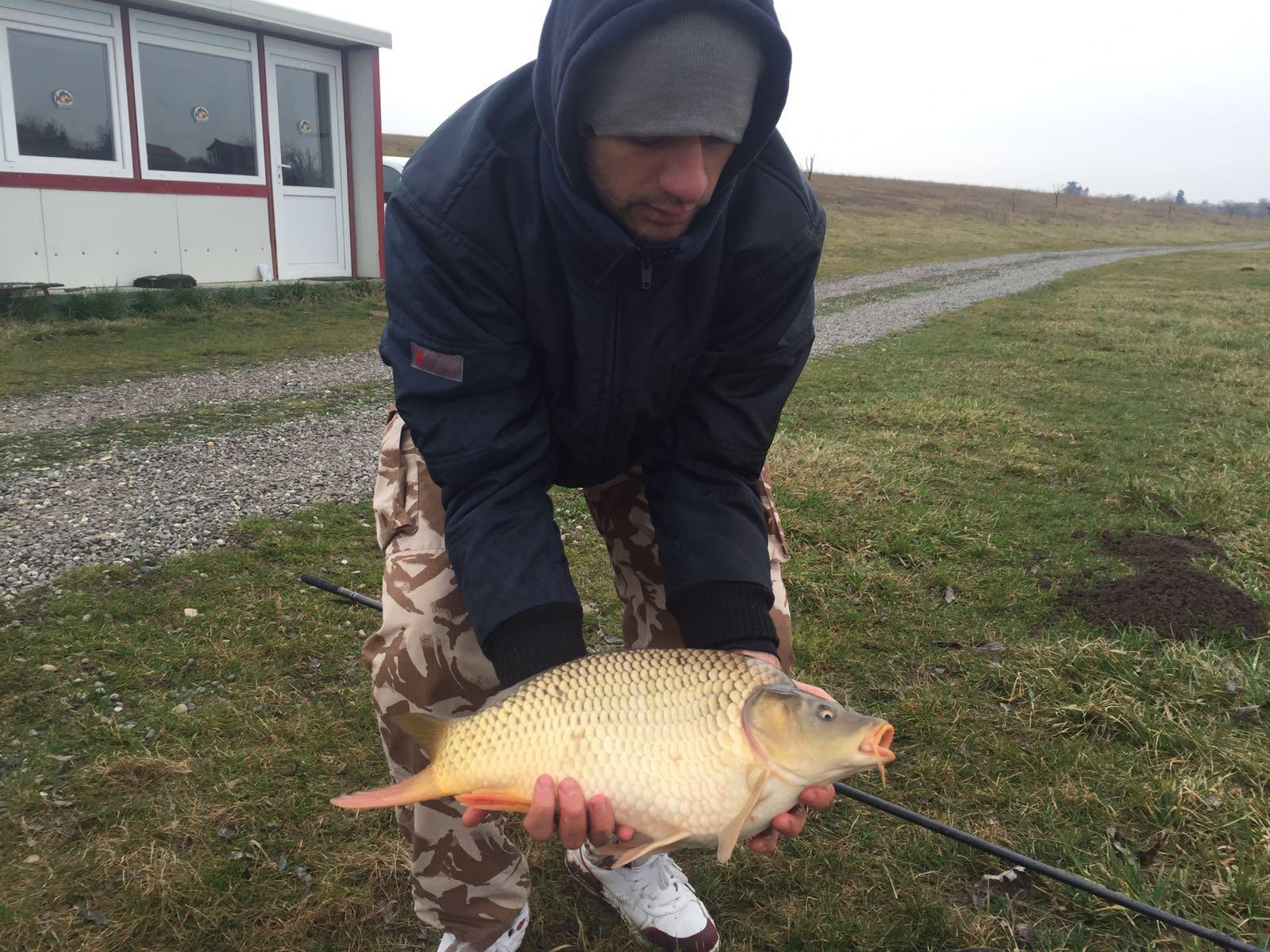 MV2 27-02-2016 - img-20160227-wa0001.jpg